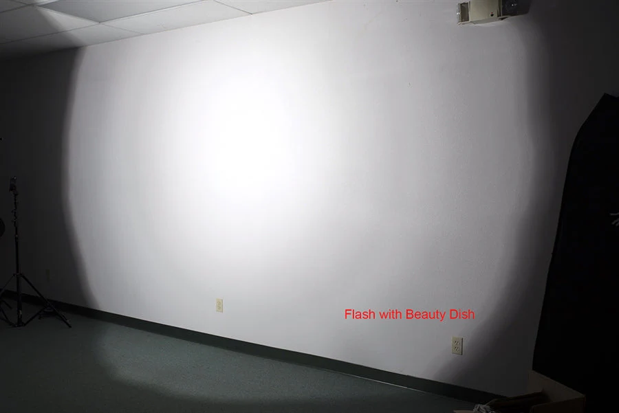 Cheetah Stand QPB-48 with Focusing System Softbox - Image 14